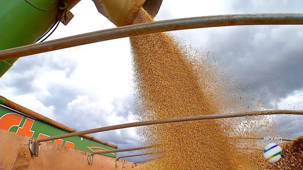 Mato Grosso Expande em 15 Novos Mercados Internacionais em Dois Anos Mato Grosso Expande em 15 Novos Mercados Internacionais em Dois Anos