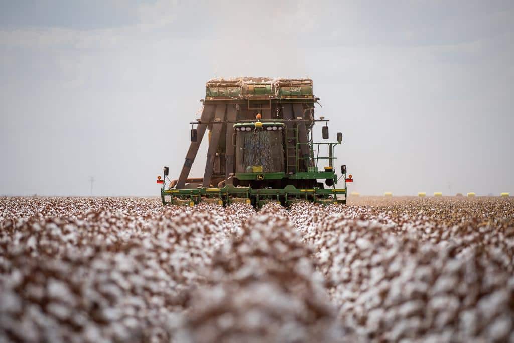 Mato Grosso Fortaleza do Agro: Investidores Chineses Aumentam Interesse no Setor Produtivo Mato Grosso Fortaleza do Agro: Investidores Chineses Aumentam Interesse no Setor Produtivo