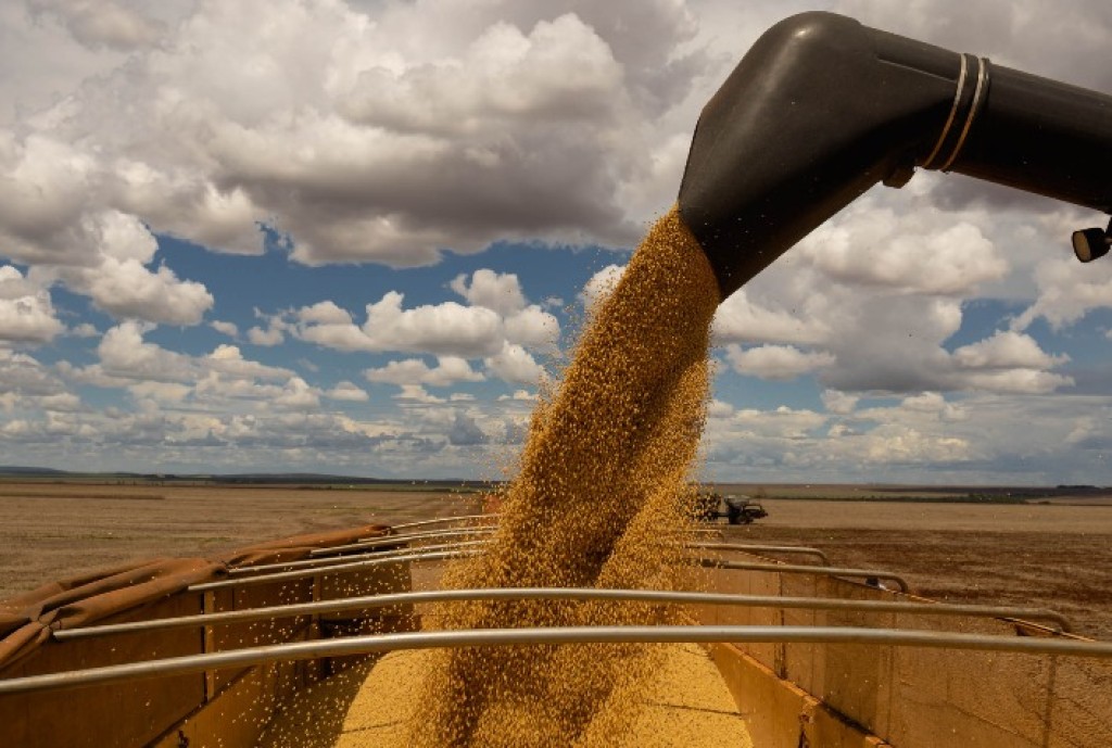 Mato Grosso: Terceiro Maior Produtor de Soja do Mundo se Fosse um País Mato Grosso: Terceiro Maior Produtor de Soja do Mundo se Fosse um País