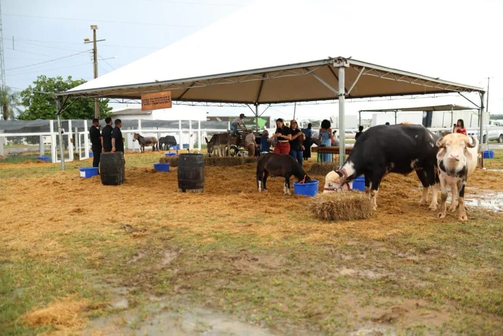 Mini Fazenda Ampliada Brilha na 10ª Edição da Farm Show de Primavera do Leste Mini Fazenda Ampliada Brilha na 10ª Edição da Farm Show de Primavera do Leste