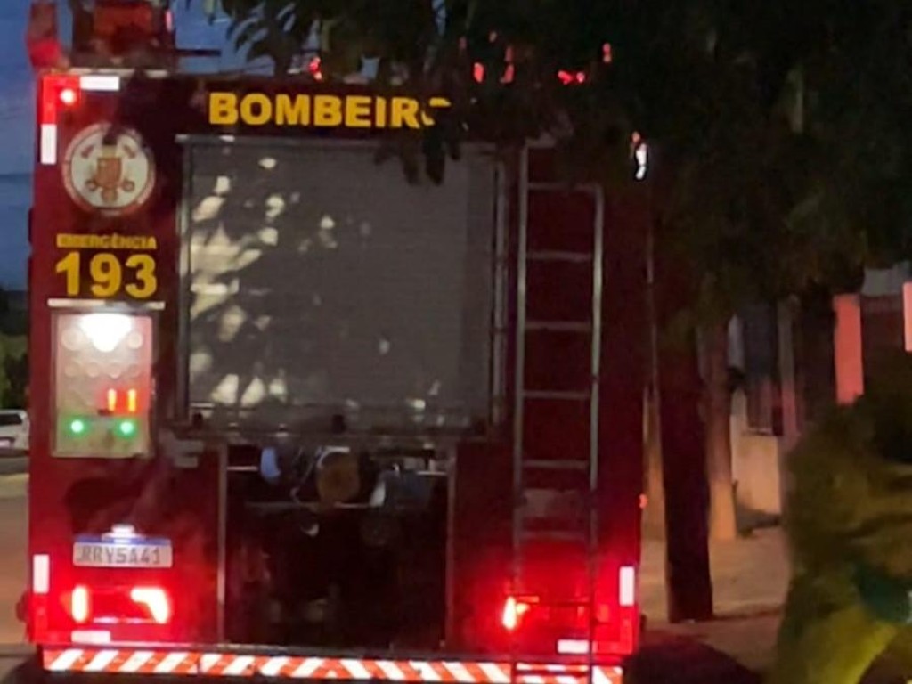 Retirada Segura de Enxame de Abelhas em Sorriso: Ação dos Bombeiros Militares Retirada Segura de Enxame de Abelhas em Sorriso: Ação dos Bombeiros Militares