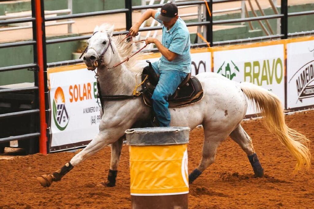 Semana do Cavalo 2026: Grande Evento Equestre em Novo Endereço em Cuiabá