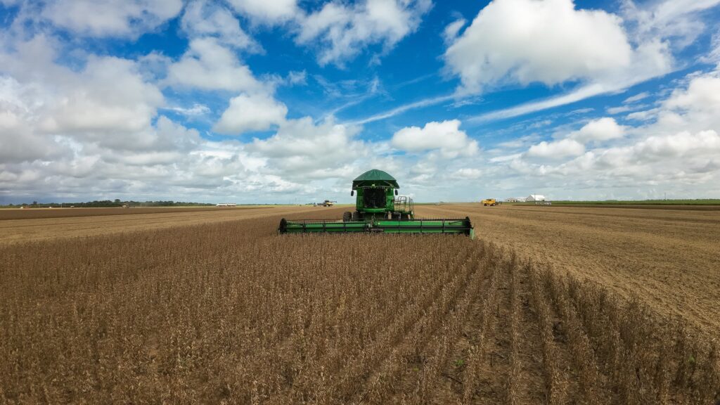 Soja em Mato Grosso: Projeções de Safra Superam 50 Milhões de Toneladas com Aumento de 7% na Produtividade Soja em Mato Grosso: Projeções de Safra Superam 50 Milhões de Toneladas com Aumento de 7% na Produti