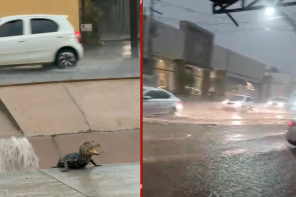 Temporal em Cuiabá: Alagamentos em Unidades de Saúde e Bairros Atrapalham Rotina