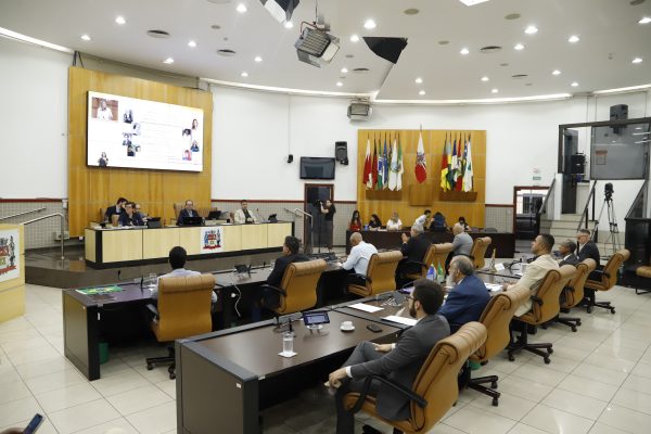 Câmara de Jacareí Aprova Política de Saúde Mental para Gestantes e Puérperas Câmara de Jacareí Aprova Política de Saúde Mental para Gestantes e Puérperas
