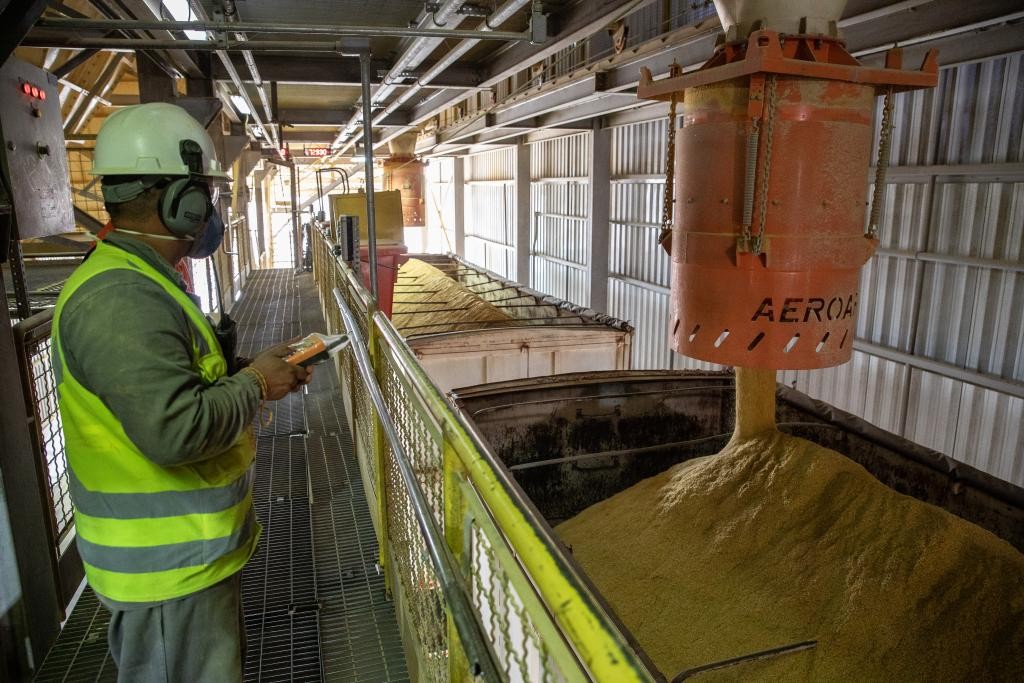 Crescimento da Economia de Mato Grosso: 56% em Sete Anos, Superando China e Brasil Crescimento da Economia de Mato Grosso: 56% em Sete Anos, Superando China e Brasil