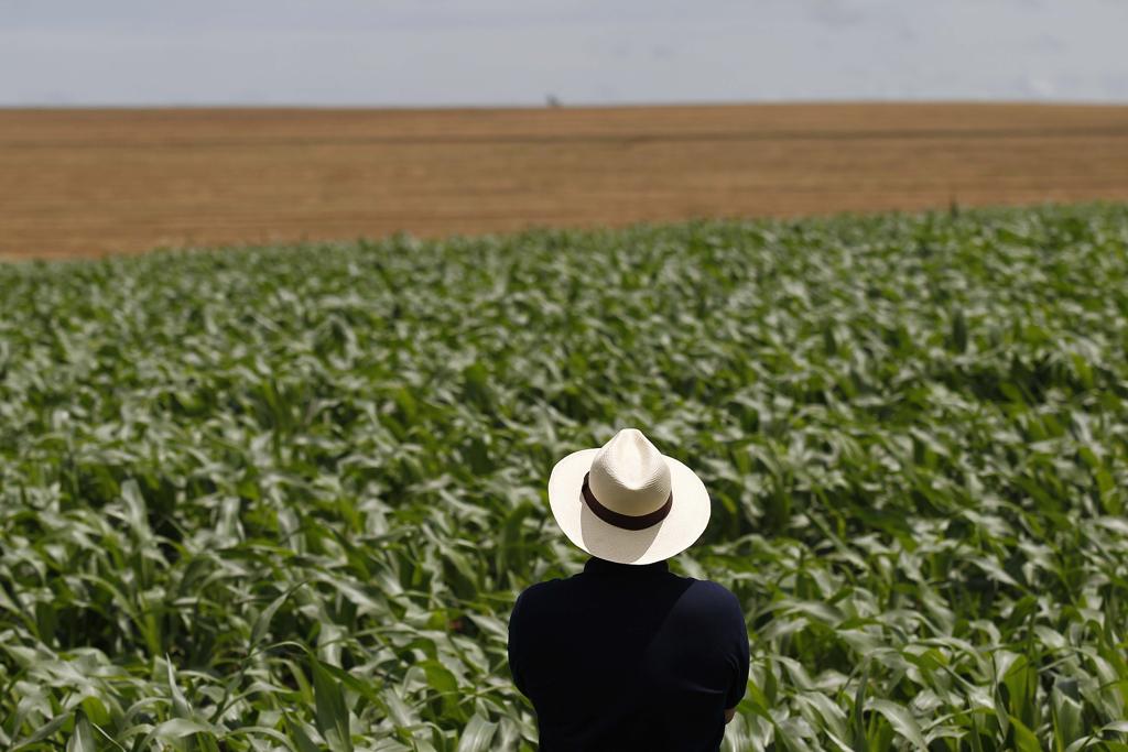Crise no Oriente Médio: Impactos no Agronegócio Brasileiro Crise no Oriente Médio: Impactos no Agronegócio Brasileiro