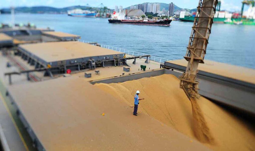 Mato Grosso Bate Recorde nas Exportações de Soja em Fevereiro de 2024