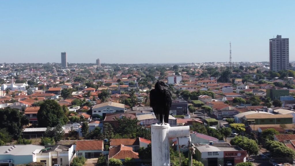 Rondonópolis: A Cidade que Ressurgiu no Cerrado e se Destaca na Economia Brasileira
