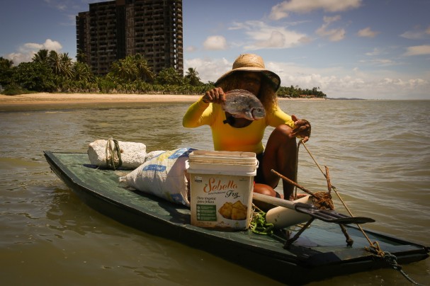 A Tradição da Pesca em Pernambuco: Elza e Suas Histórias do Mar A Tradição da Pesca em Pernambuco: Elza e Suas Histórias do Mar