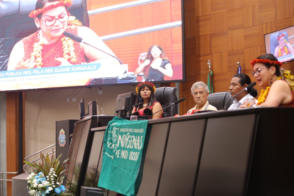 Audiência Pública Debate Fortalecimento da Economia Indígena em MT Audiência Pública Debate Fortalecimento da Economia Indígena em MT