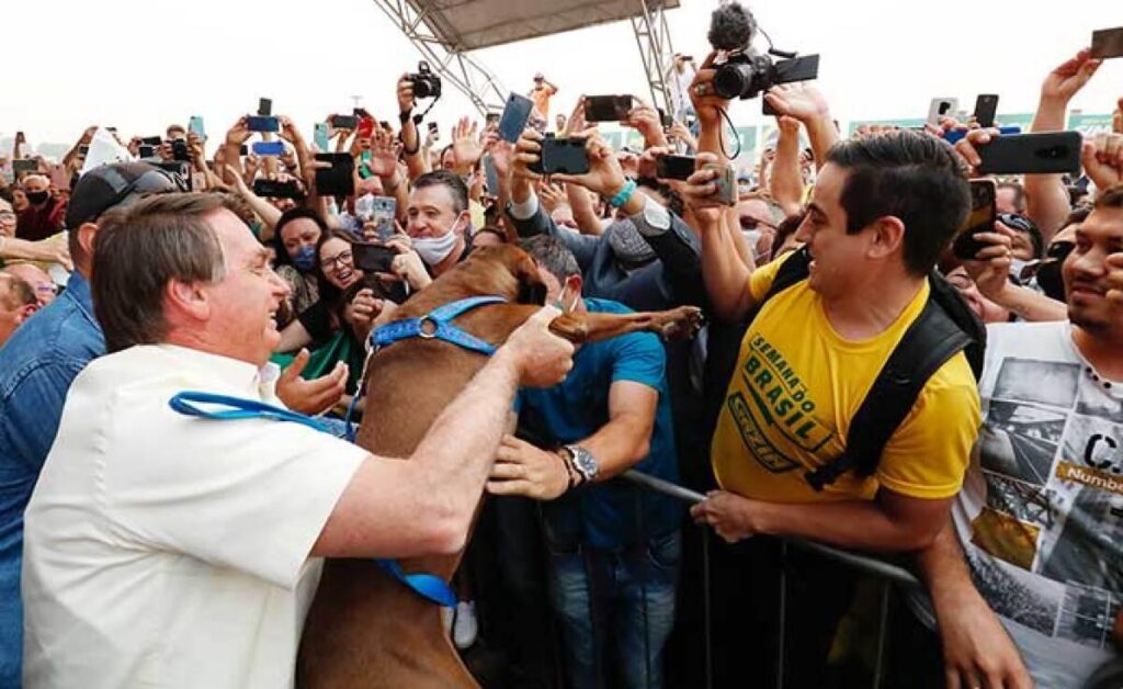 Bolsonaro é Recebido com Entusiasmo em Mato Grosso: Uma Visita Marcante Bolsonaro é Recebido com Entusiasmo em Mato Grosso: Uma Visita Marcante