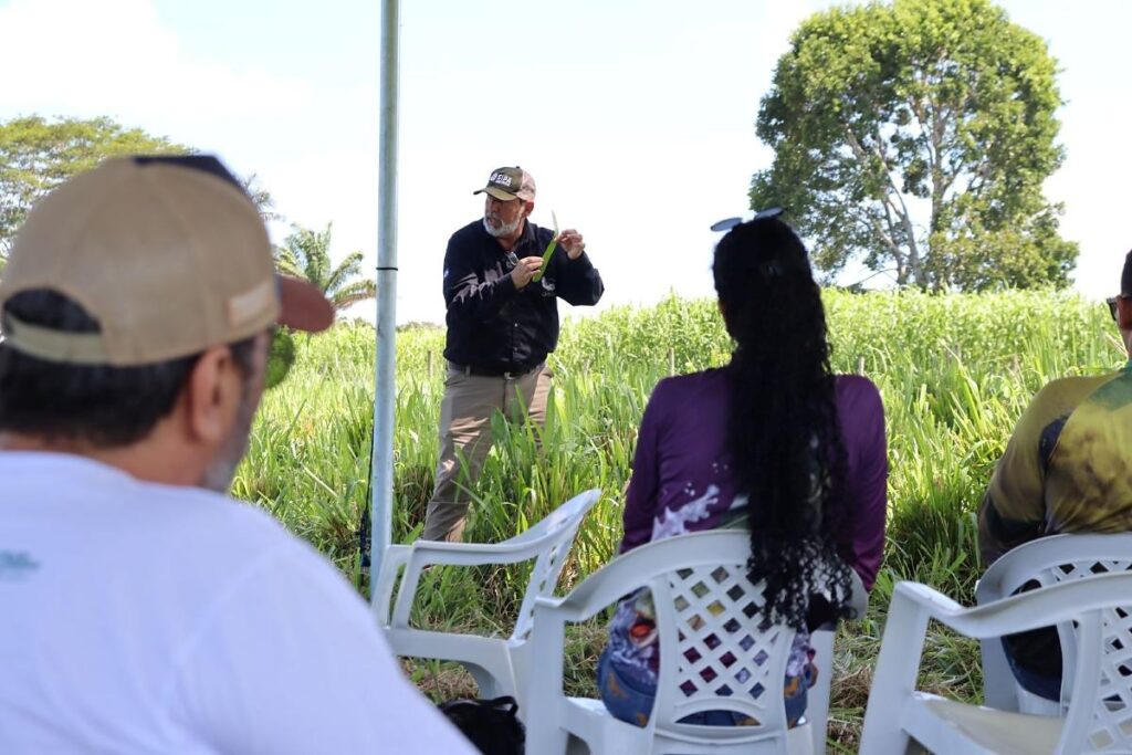 Capacitação Inova com Tecnologia de Baixo Carbono para Produtores no Norte de MT Capacitação Inova com Tecnologia de Baixo Carbono para Produtores no Norte de MT
