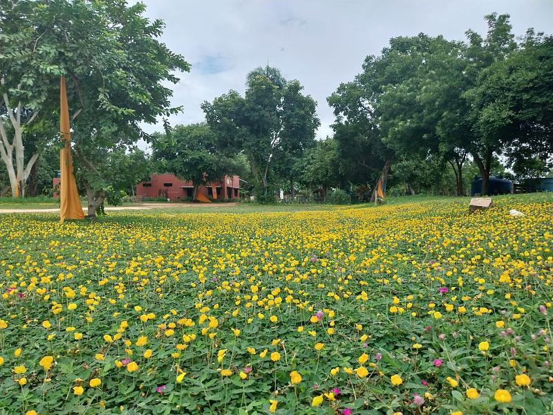 Cuiabá Sedia o I Simpósio de Equoterapia e Festival Equestre Inclusivo Cuiabá Sedia o I Simpósio de Equoterapia e Festival Equestre Inclusivo