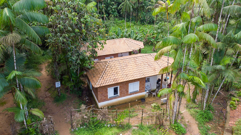 Dia dos Povos Indígenas: Avanços na Política Habitacional e 306 Novas Moradias em São Paulo Dia dos Povos Indígenas: Avanços na Política Habitacional e 306 Novas Moradias em São Paulo