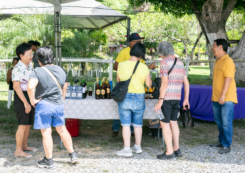 Festival da Pamonha em Cuiabá: Recorde de Público e Produção Esgotada Festival da Pamonha em Cuiabá: Recorde de Público e Produção Esgotada