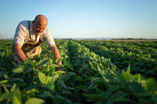 Inscrições Abertas para Seminário de Empreendedorismo no Agronegócio em Atibaia Inscrições Abertas para Seminário de Empreendedorismo no Agronegócio em Atibaia