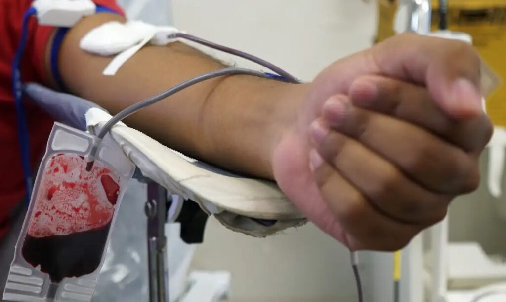 MT Hemocentro Enfrenta Crise no Estoque de Sangue e Convoca a População para Doações MT Hemocentro Enfrenta Crise no Estoque de Sangue e Convoca a População para Doações