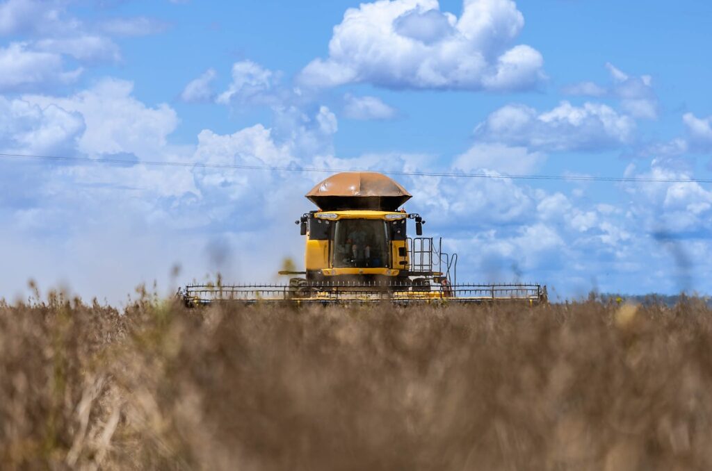 Produção de Soja em Mato Grosso: Desempenho é Destoante em Meio a Desafios Climáticos