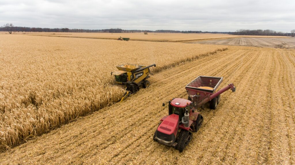 Recuperação Judicial em Mato Grosso: O Agronegócio em Análise pela Jurimetria Recuperação Judicial em Mato Grosso: O Agronegócio em Análise pela Jurimetria