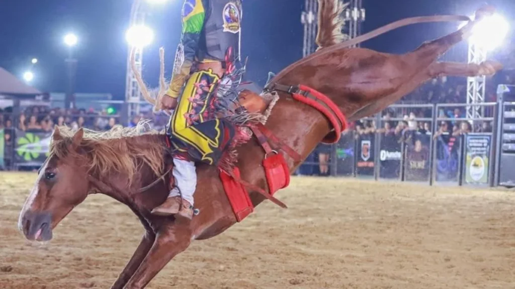 Rodeio Cutiano no Mato Grosso AgroFestival: Tradição e Cultura em Montarias Rodeio Cutiano no Mato Grosso AgroFestival: Tradição e Cultura em Montarias