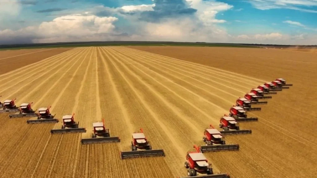 Agronegócio impulsiona crescimento econômico com alta de 2,8% no segundo trimestre