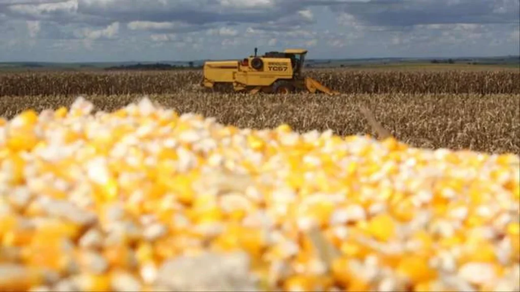 Mato Grosso do Sul já comercializa 30% da safra de soja 2026/27 com estratégia marcada
