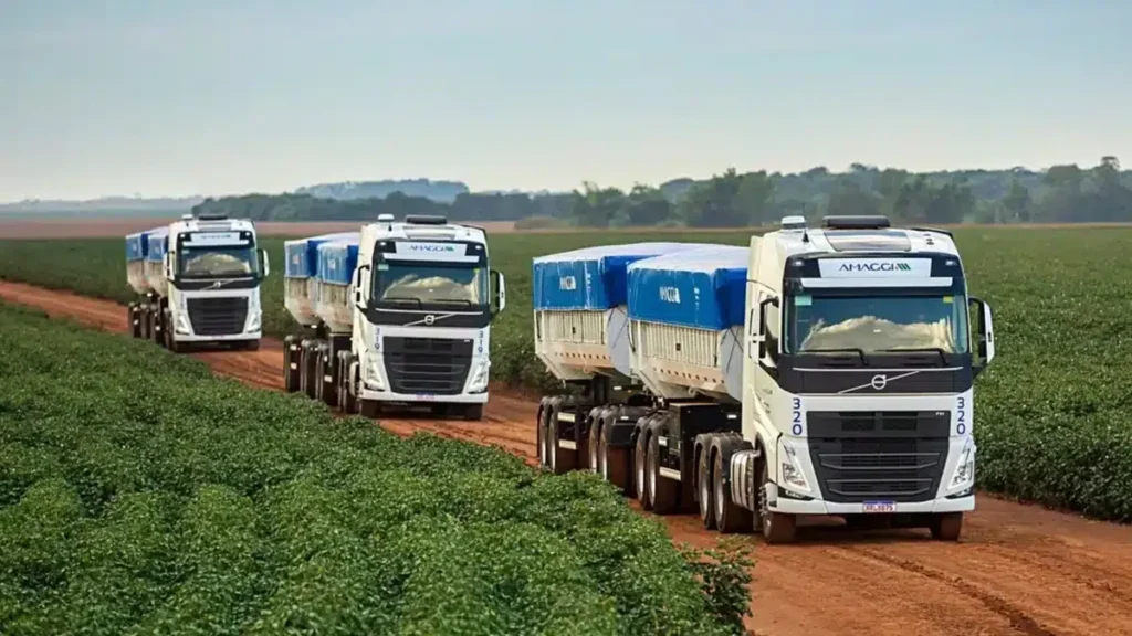 Mato Grosso lidera setor de serviços com receita de R$ 72,4 bilhões Mato Grosso lidera setor de serviços com receita de R$ 72,4 bilhões