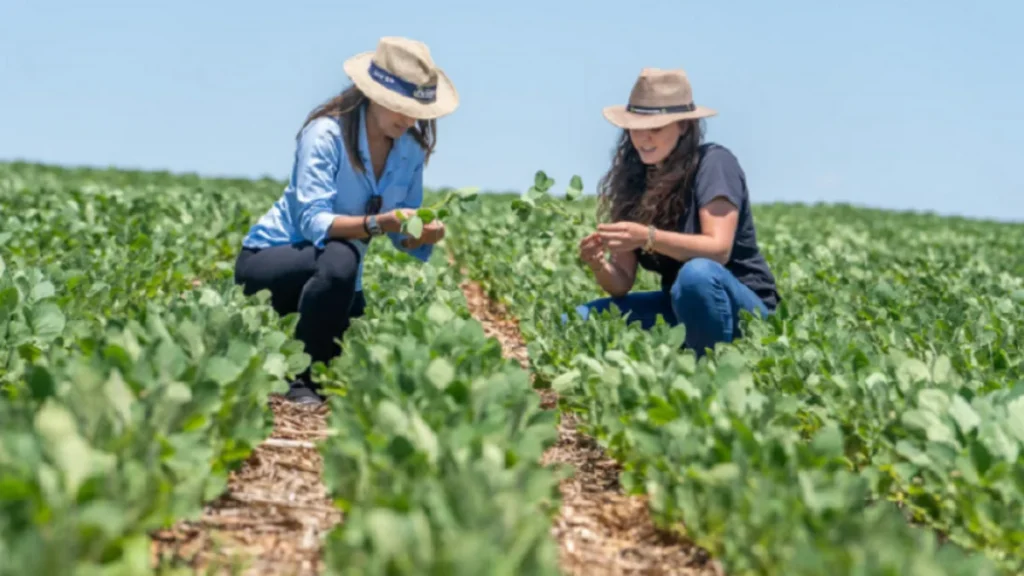 Como Mais Terra, Crédito e Tecnologia para Mulheres Podem Impulsionar a Economia Rural