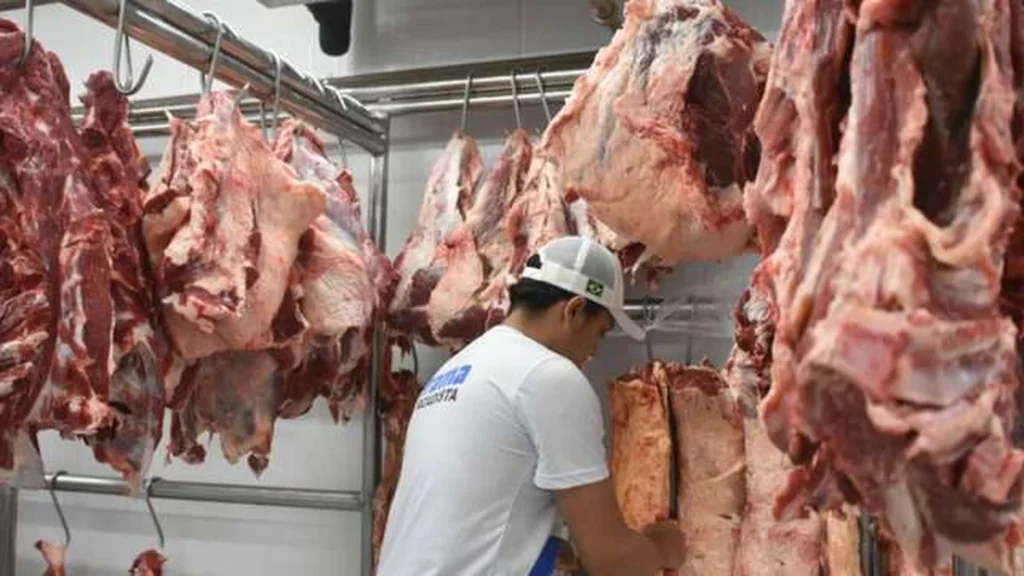 Exportações de Carne de Mato Grosso do Sul Caem pelo Segundo Mês Consecutivo