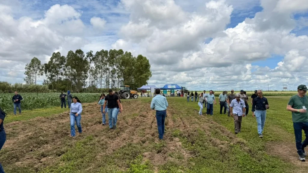 Pecuária Leiteira em Sinop: Inovação e Sustentabilidade com ILPF Pecuária Leiteira em Sinop: Inovação e Sustentabilidade com ILPF
