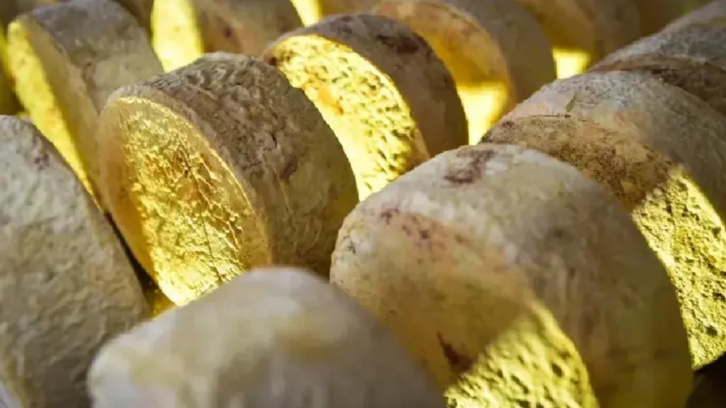 Queijos Artesanais de Mato Grosso Ganham Espaço na Exposição Nacional