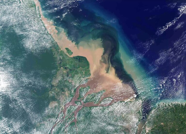Petrobras Celebra Licença para Perfuração na Margem Equatorial: O Que Esperar? Imagem do artigo