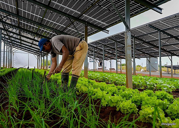 Inovação no Agronegócio: 1ª Usina Agro-Solar do Sudeste é Lançada com Investimento de R$ 15 Milhões Imagem do artigo