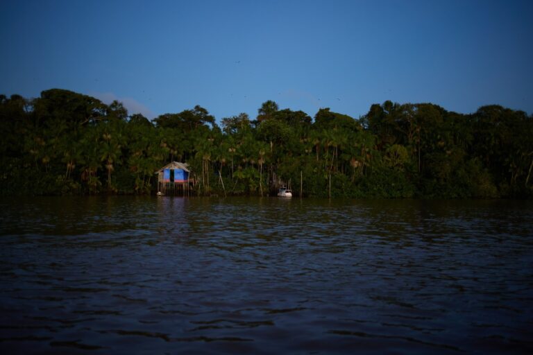 Exposições Imperdíveis no Rio: Amazônia de Bob Wolfenson e Últimos Dias de Flávio Cerqueira Exposições Imperdíveis no Rio: Amazônia de Bob Wolfenson e Últimos Dias de Flávio Cerqueira