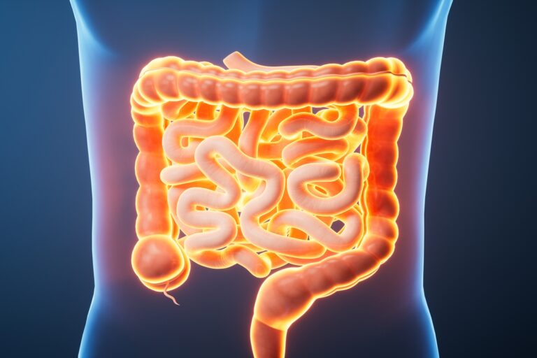 Os Perigos da Inflamação Intestinal: Como Isso Afeta Sua Saúde Os Perigos da Inflamação Intestinal: Como Isso Afeta Sua Saúde