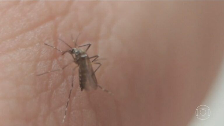 Santos Intensifica Ações Contra Dengue com Novo Mapeamento de Focos e Dados Promissores Santos Intensifica Ações Contra Dengue com Novo Mapeamento de Focos e Dados Promissores
