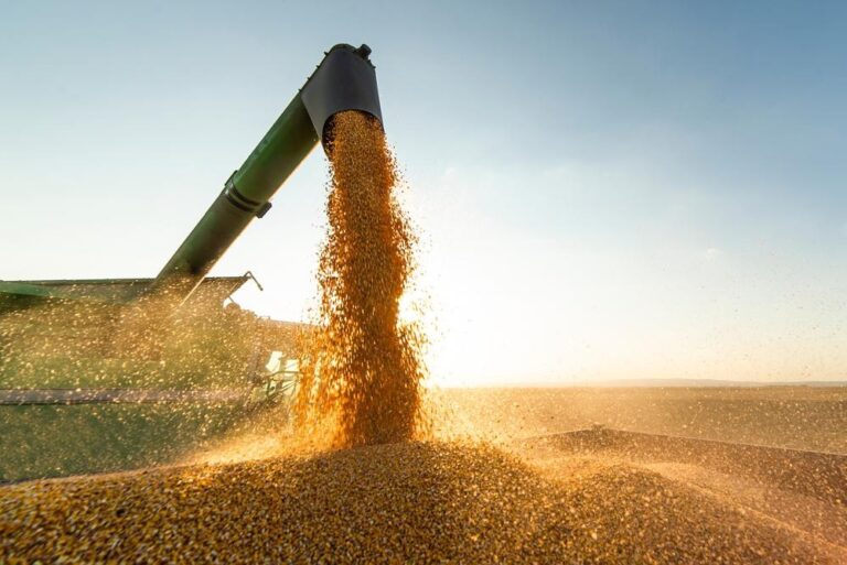 Economia de Mato Grosso: Desafios e Crescimento Previsto para 2026 Economia de Mato Grosso: Desafios e Crescimento Previsto para 2026