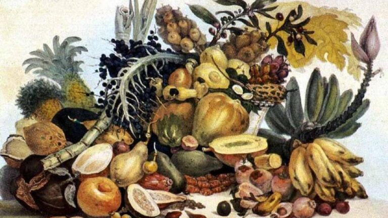 A Influência da Gastronomia Brasileira na Cozinha Portuguesa e Seus Laços Culturais A Influência da Gastronomia Brasileira na Cozinha Portuguesa e Seus Laços Culturais