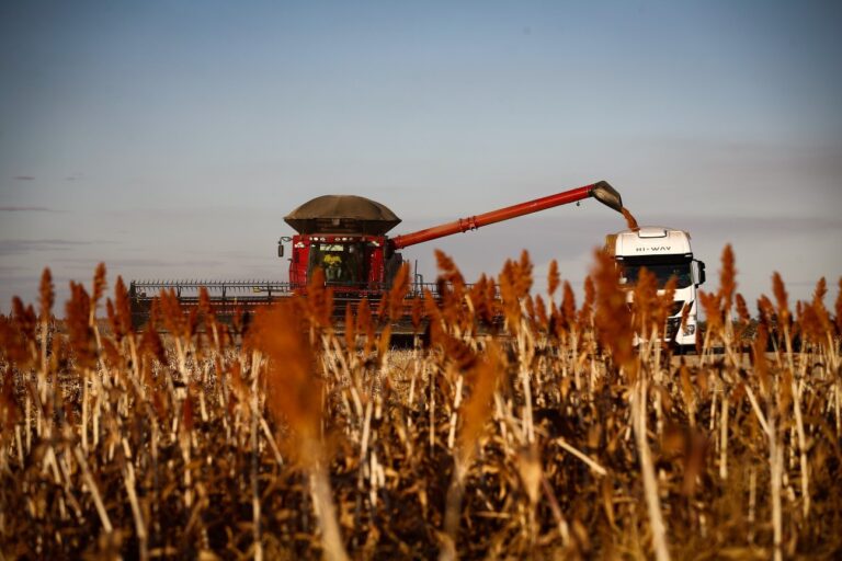 Agro e Exportações Devem Impulsionar PIB de 2025, Mesmo com Tarifas Elevadas Agro e Exportações Devem Impulsionar PIB de 2025, Mesmo com Tarifas Elevadas