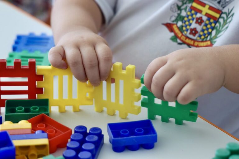 Entrega de Creche Escola em Santa Clara d’Oeste: Um Novo Marco na Educação de SP Entrega de Creche Escola em Santa Clara d’Oeste: Um Novo Marco na Educação de SP