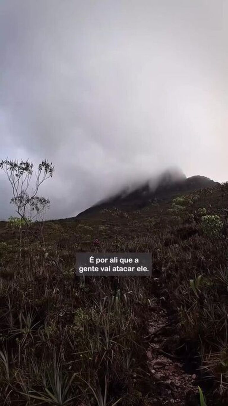 Expedição ao Pico da Neblina: Melhorias no Acesso e Potencial Turístico do Amazonas Expedição ao Pico da Neblina: Melhorias no Acesso e Potencial Turístico do Amazonas