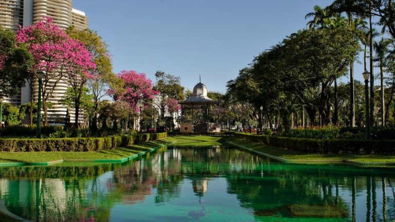 Turismo de Experiência: Como Aproveitar ao Máximo Suas Viagens de Ônibus