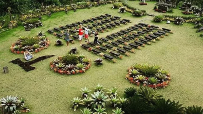 Turismo de Primavera em Petrópolis: Descubra o Ecoturismo e os Roteiros Florais que Aquecem o Setor Turismo de Primavera em Petrópolis: Descubra o Ecoturismo e os Roteiros Florais que Aquecem o Setor