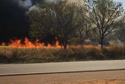 Incêndios em São Paulo: Federação da Agricultura e Pecuária inicia ações para mitigar danos