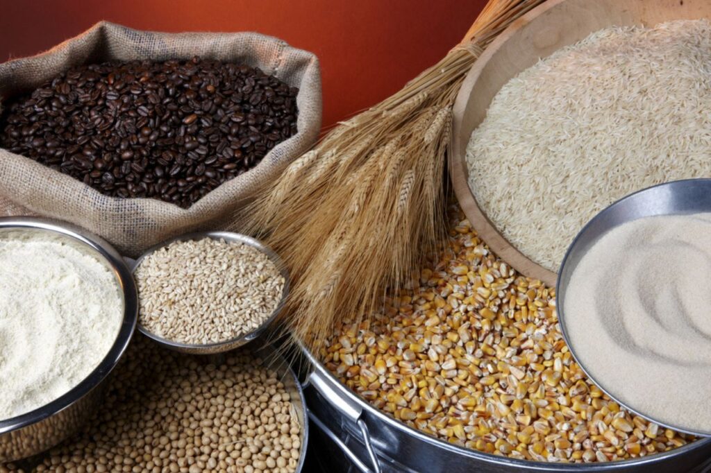 Queimadas podem afetar o mercado alimentar e aumentar os preços dos alimentos, alerta especialista
