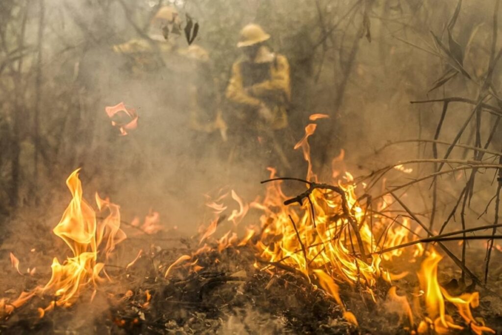 “Combate ao Fogo: Como Utilizar o Crédito de R$ 514 Milhões para Prevenção e Reposição”