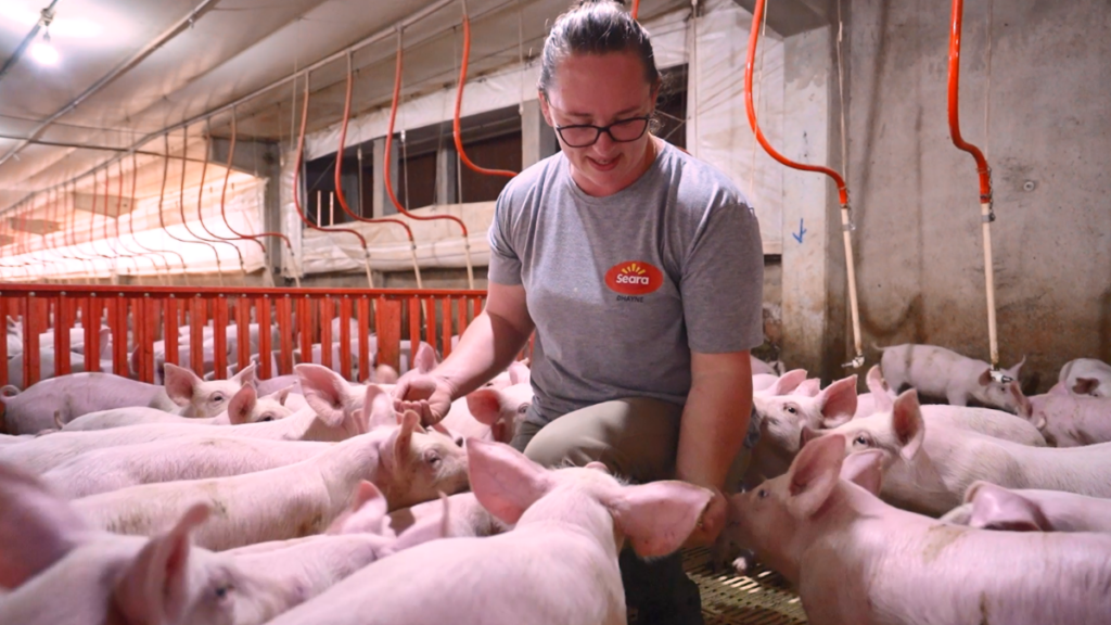 “Comunicação Positiva no Setor de Proteínas Animais: Estratégias e Benefícios”