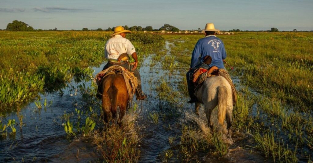 “Programa Fazenda Pantaneira Sustentável Expande Atendimentos no Bioma Pantanal”