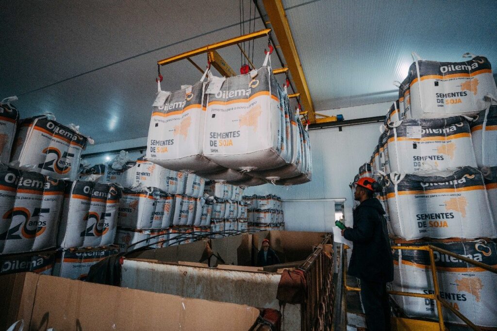 Avanço na Expedição de Sementes da Oilema com Previsão de Entrega de 1,4 Milhão de Unidades